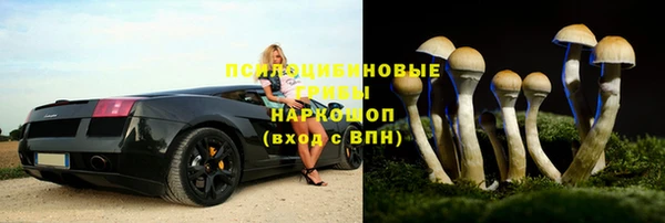 индика Алзамай