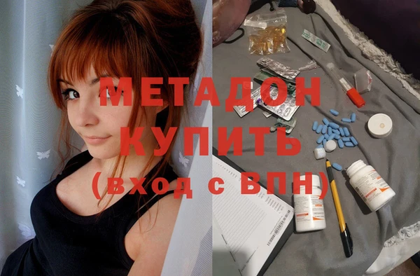 индика Алзамай