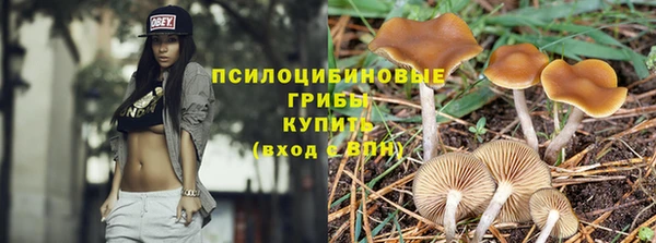 индика Алзамай