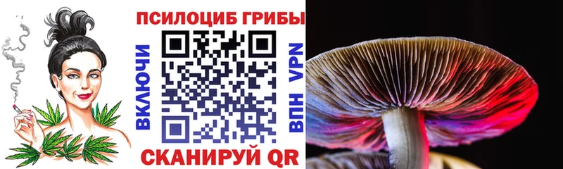 Псилоцибиновые грибы MAGIC MUSHROOMS Апрелевка